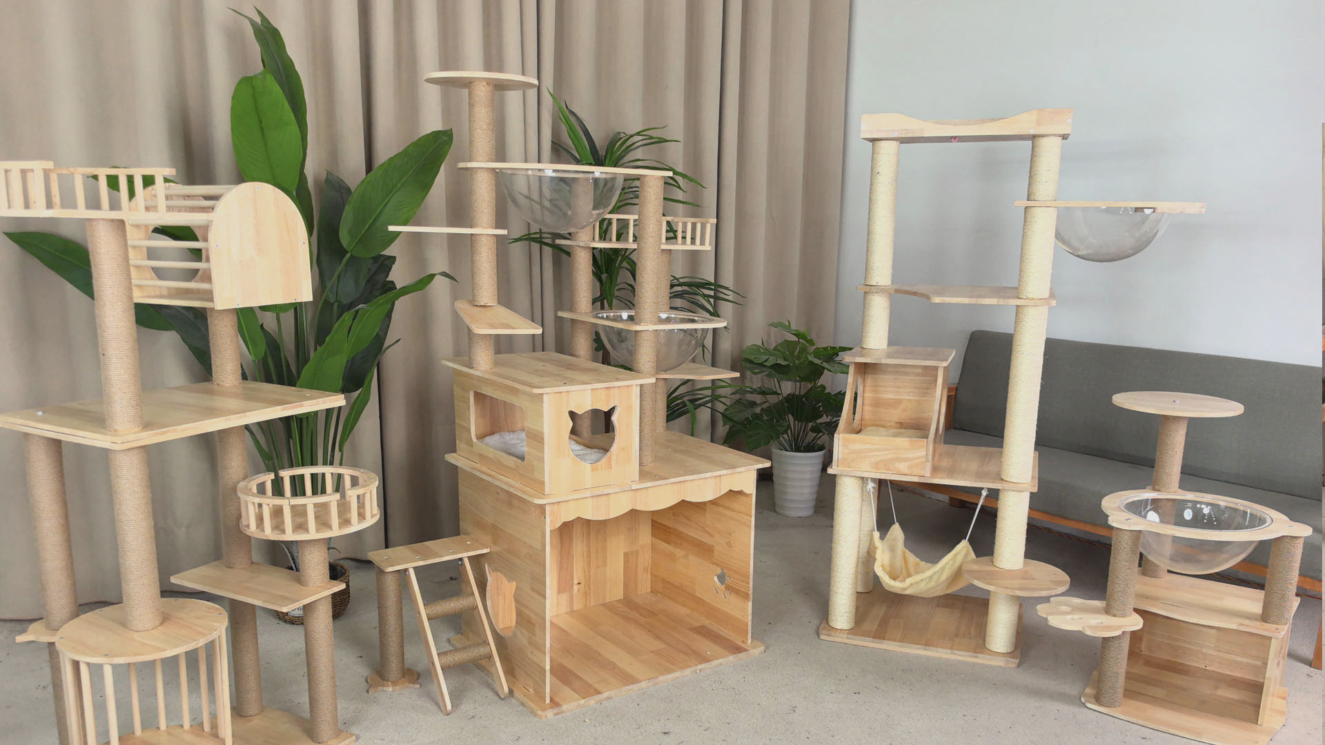 A Pet's Paradise, Built on 30 Years of Expertise